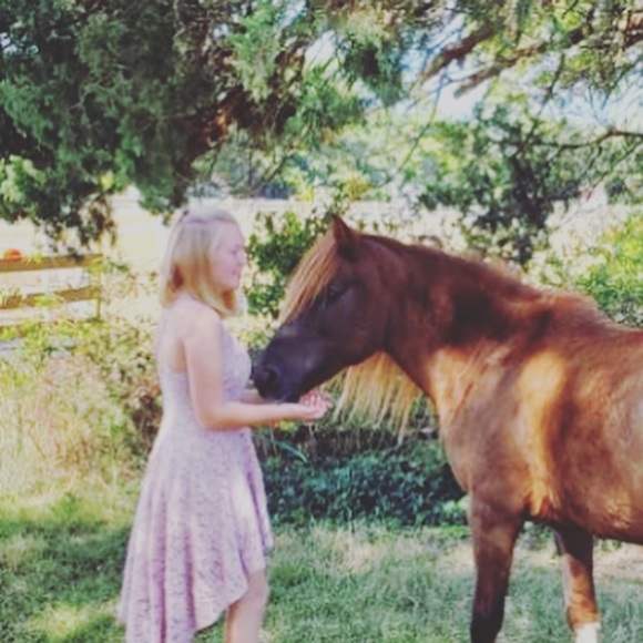 High low pink dress with pattern - Picture 5 of 5